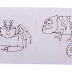 ColoBook personalizowany zestaw do kolorowania / kredki / zwierzęta - obrazek 3