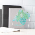 Colorify Trofeum - obrazek 5