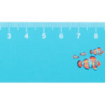 Couler 15 linijka 15cm, dom - obrazek 8