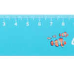 Couler 15 linijka 15cm, dom - obrazek 12