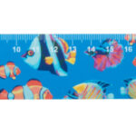 Couler 30 linijka 30cm, dom - obrazek 11