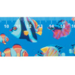 Couler 30 linijka 30cm, dom - obrazek 12