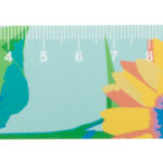 Sharpy 12 linjka 12cm/ołówek - obrazek 4