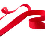 Savent smycz - obrazek 12