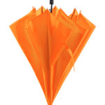 Maximus parasol - obrazek 6