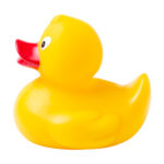 Squack kaczka - obrazek 4