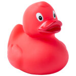 Squack kaczka - obrazek 5