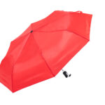 Cirros parasol - obrazek 5