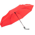 Cirros parasol - obrazek 6