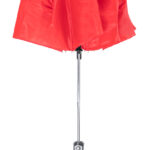 Cirros parasol - obrazek 10