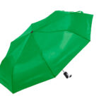 Cirros parasol - obrazek 16