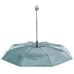 Cirros parasol - obrazek 21