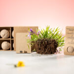 Flobba nasiona - obrazek 8