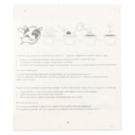 Selanis zestaw do kolorowania - obrazek 6