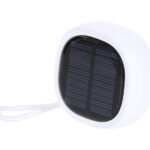 Colep Głośnik bezprzewodowy RABS