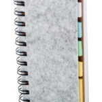 Felmark RPET notes RPET