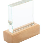 Rectofi Trofeum - obrazek 3