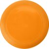 Frisbee - obrazek 13