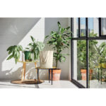 Płócienna torba 270 gr / m² RASSA - obrazek 6