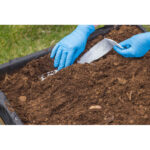 Taśma z nasionami ziół ROLL - obrazek 6