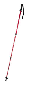 Pulpit kijki do nordic walking - obrazek 4