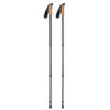 Kijki do nordic walking NOLE - obrazek 3