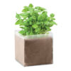 Zestaw do uprawy "Bazylia" BASIL