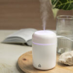 Rapor Nawilżacz RABS